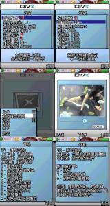 divx0.86.JPG