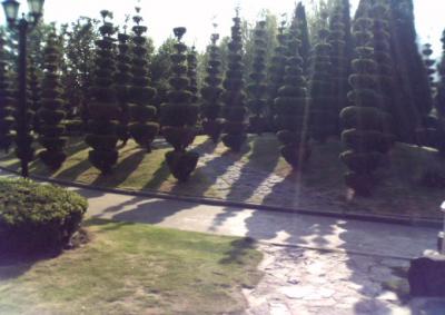 050815_160212.jpg