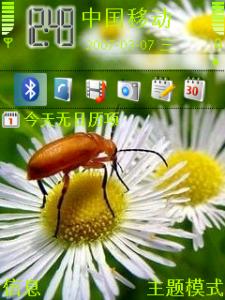 bug.jpg