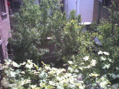 070505_111324.jpg