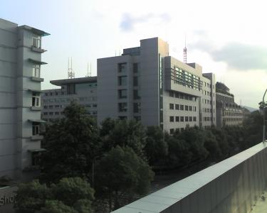 SL75.jpg