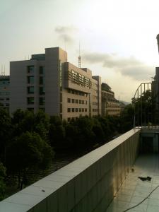 EF81.jpg