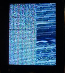 δ.JPG