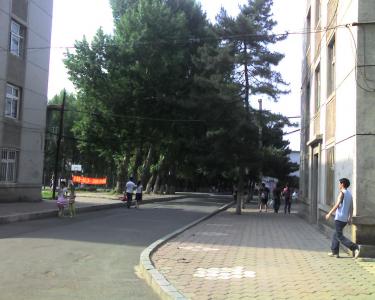 img041.jpg