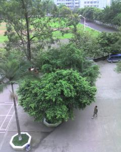 img046.jpg