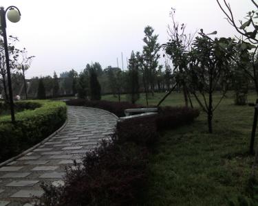 Ƭ185.jpg