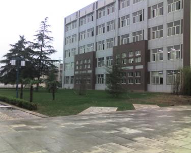 Ƭ195.jpg