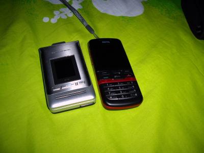 EF81P21