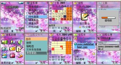 {BA16AB86-92DC-4F82-8916-D27D363A4156}.jpg