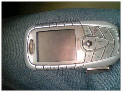 206321157930262394.jpg