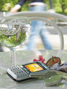 15528_C75$Sunglasses$1$300dpi$1272067.jpg