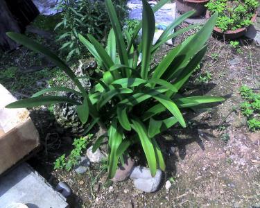Ƭ024.jpg