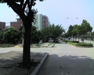 img040.jpg
