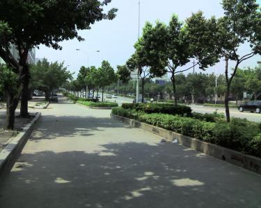 img039.jpg