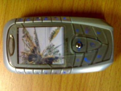 20080824255.jpg