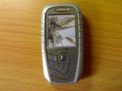 20080824253.jpg