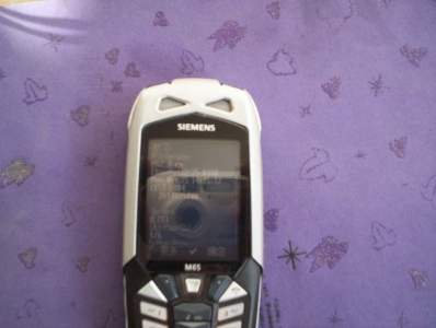 100_2921.JPG