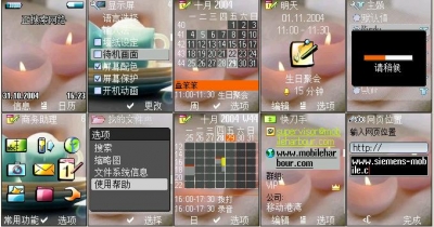 ͼwen xin.jpg