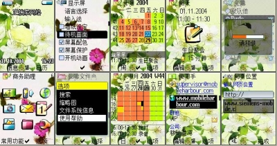 tu weimei.jpg