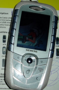 PA250013.JPG