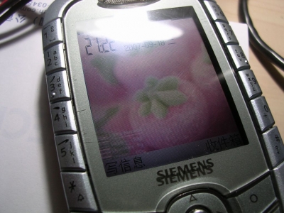 03.JPG