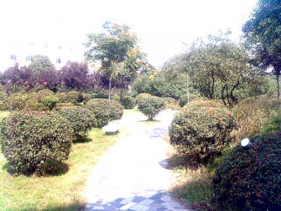 ʹú