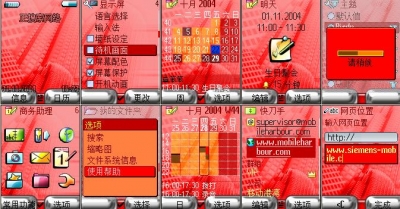 hong.jpg