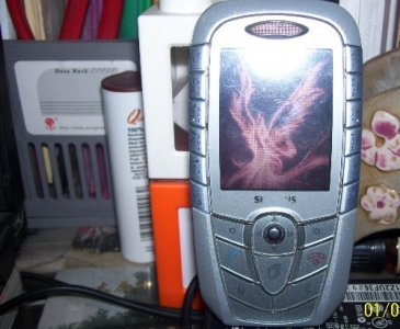 NewImage0007.jpg