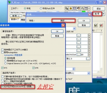 2009-01-01_110155.jpg