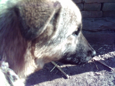 081230_104521.jpg
