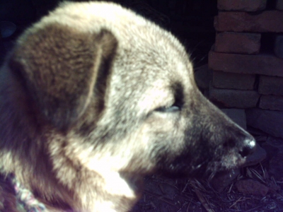 081230_104552.jpg
