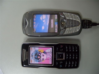 S1051001.JPG