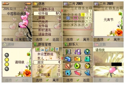 Flower CHN.jpg