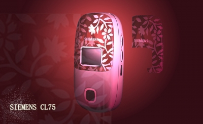 CL75-11.jpg