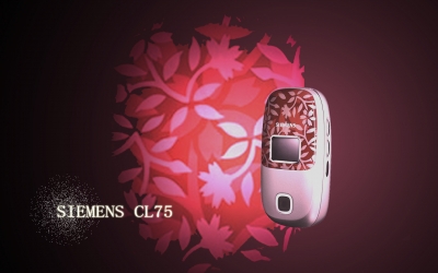 CL75-6.jpg