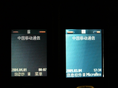 P1060677_1.JPG