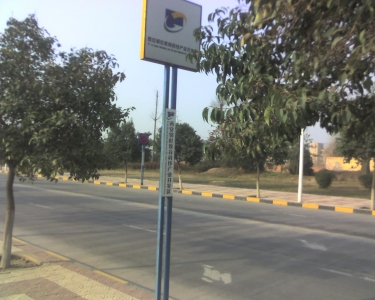 img160.jpg