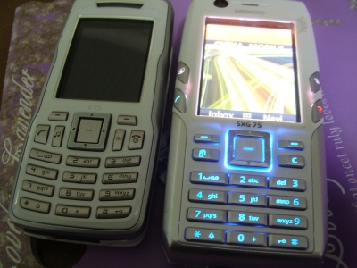 P3100003.JPG