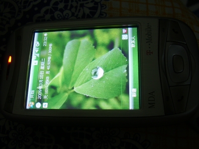 P3100002.JPG