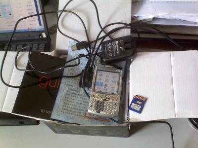 DSC00013.GIF