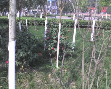 img150.jpg