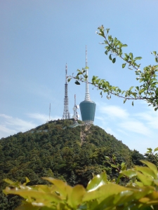 DSC02640.JPG