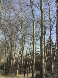 img266.jpg