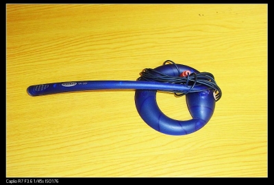 RIMG0144.JPG