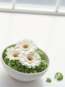Flower3.jpg