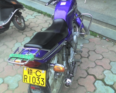 img101.jpg