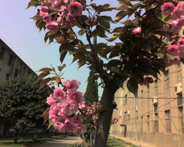 804.jpg