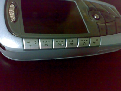 20090603172.jpg