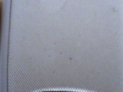 Ƭ-0010.jpg