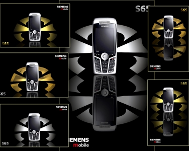 S65-WANG1.jpg